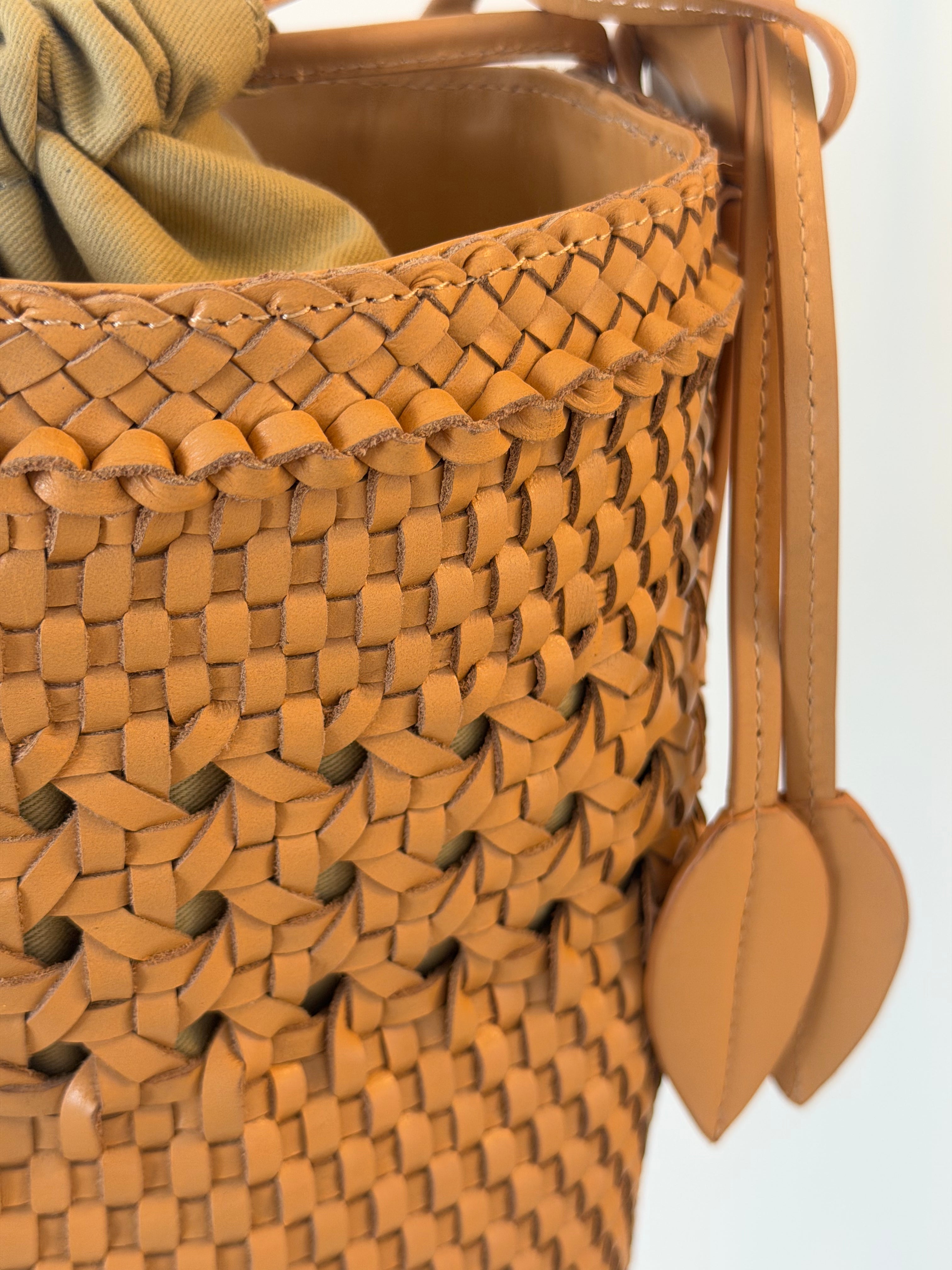 Bichon Dentelle Naturel