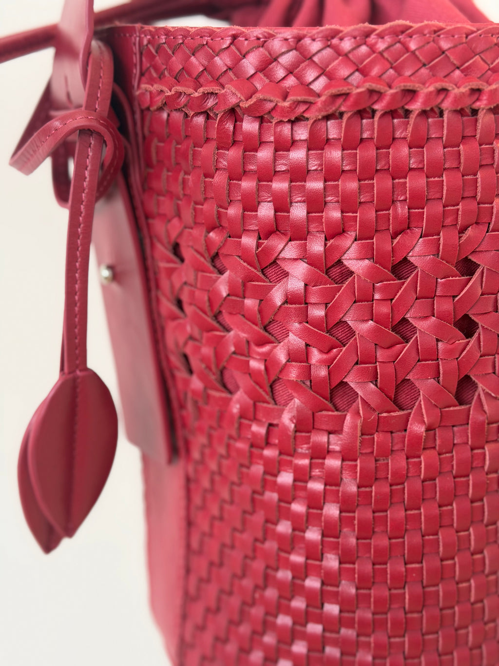 Bichon Dentelle Rouge