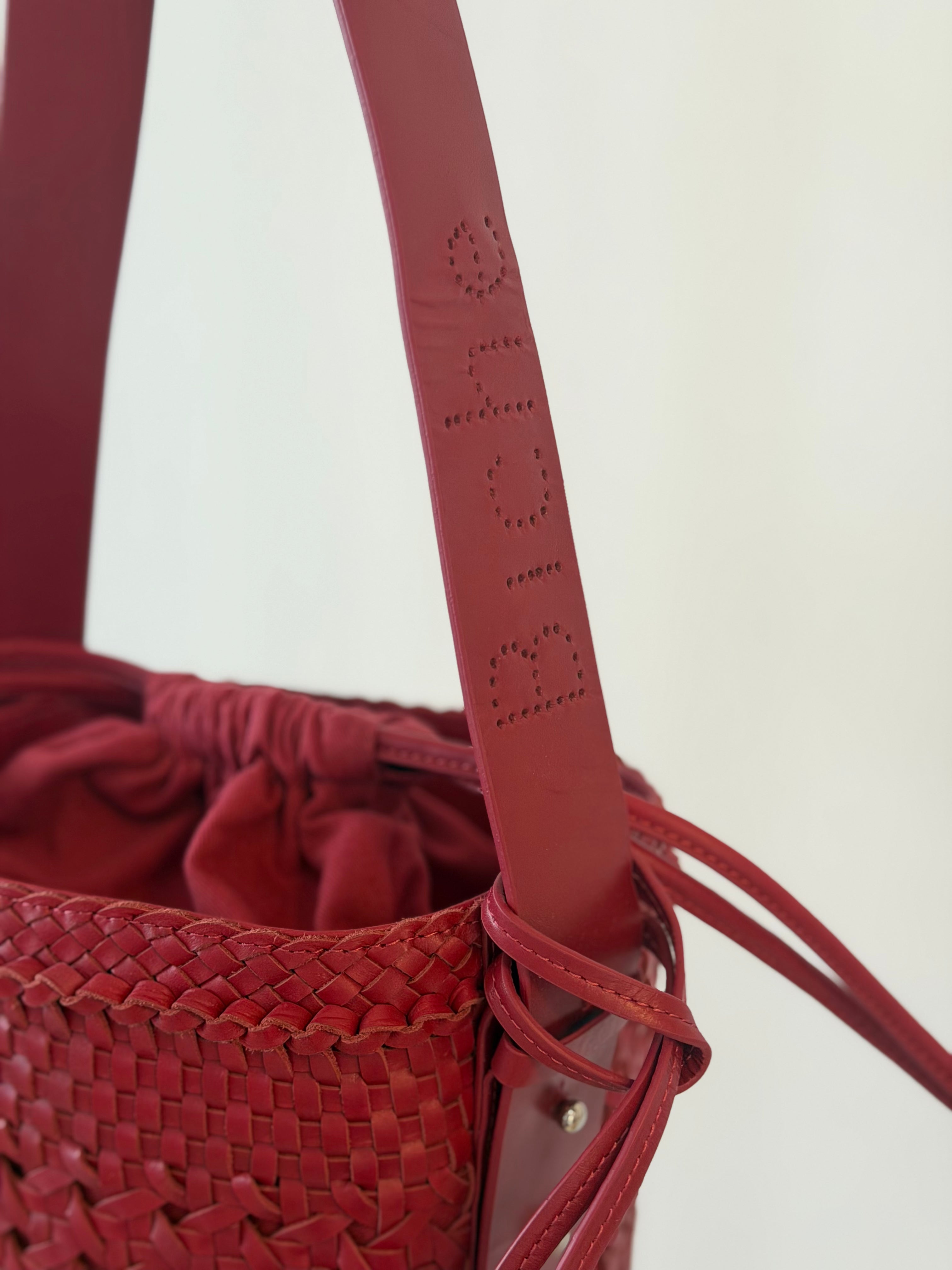 Bichon Dentelle Rouge