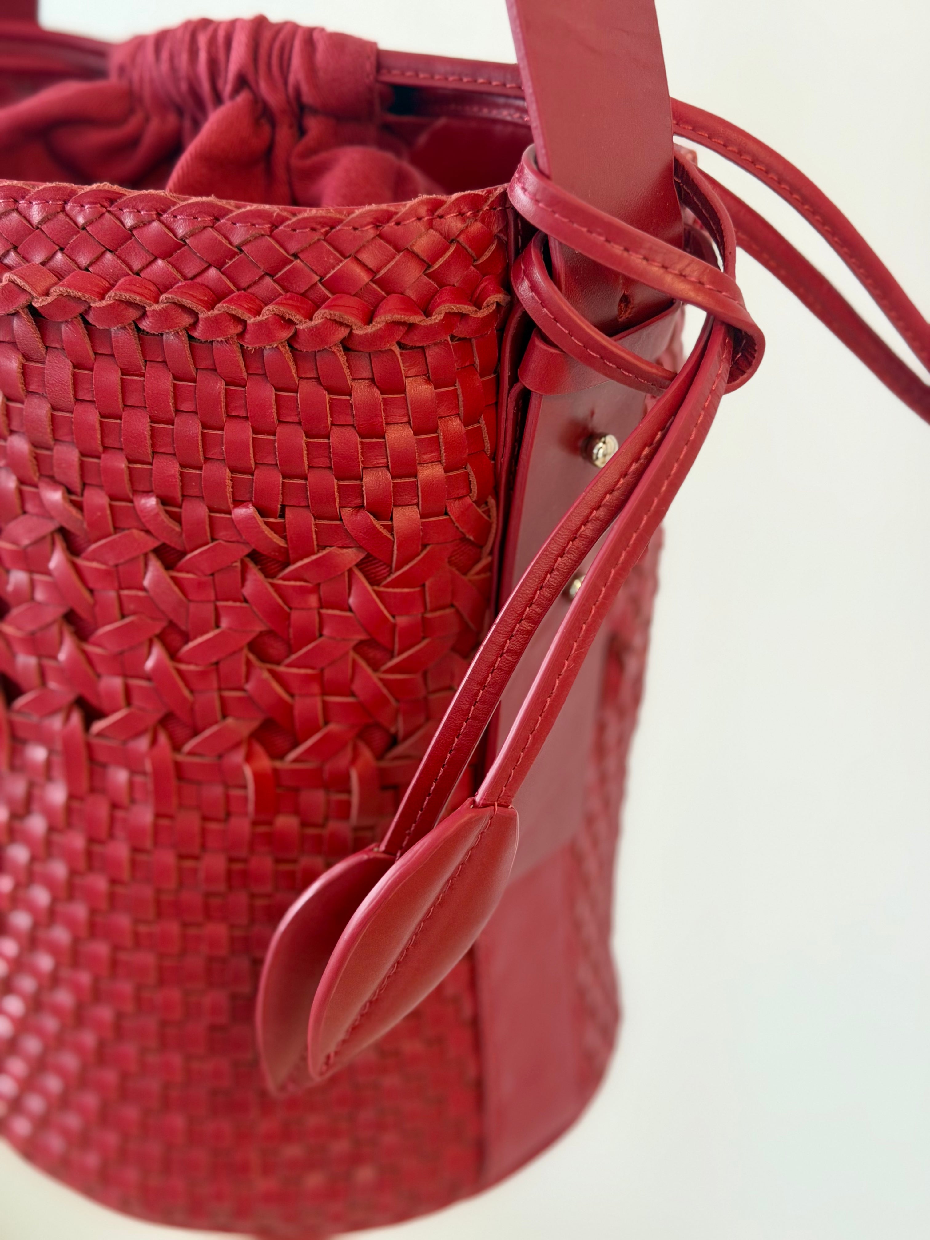 Bichon Dentelle Rouge