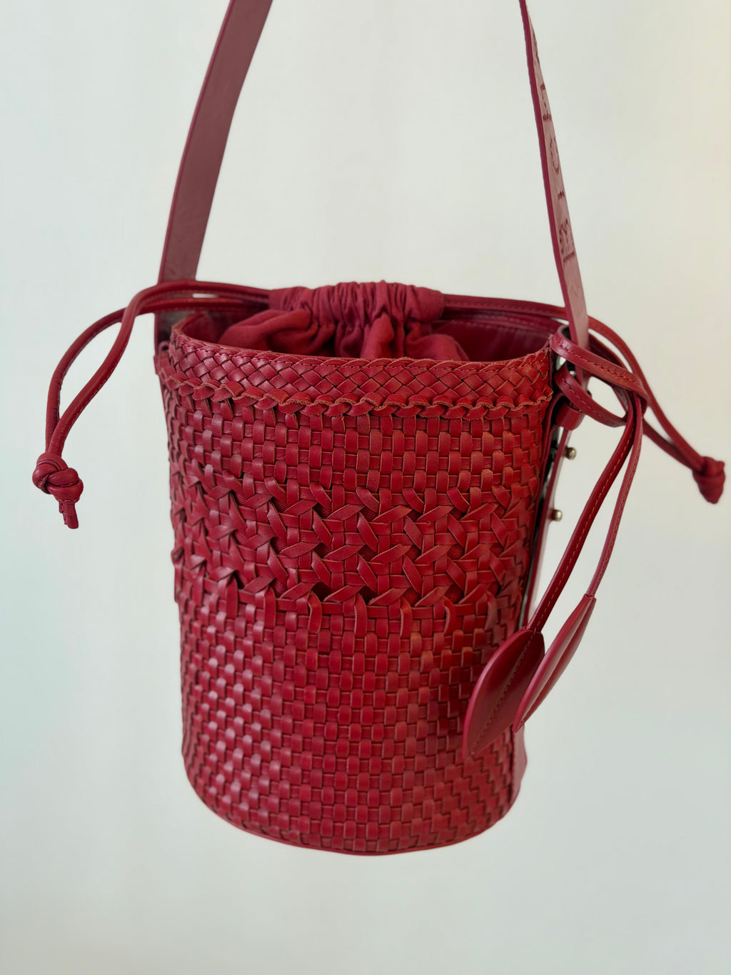 Bichon Dentelle Rouge