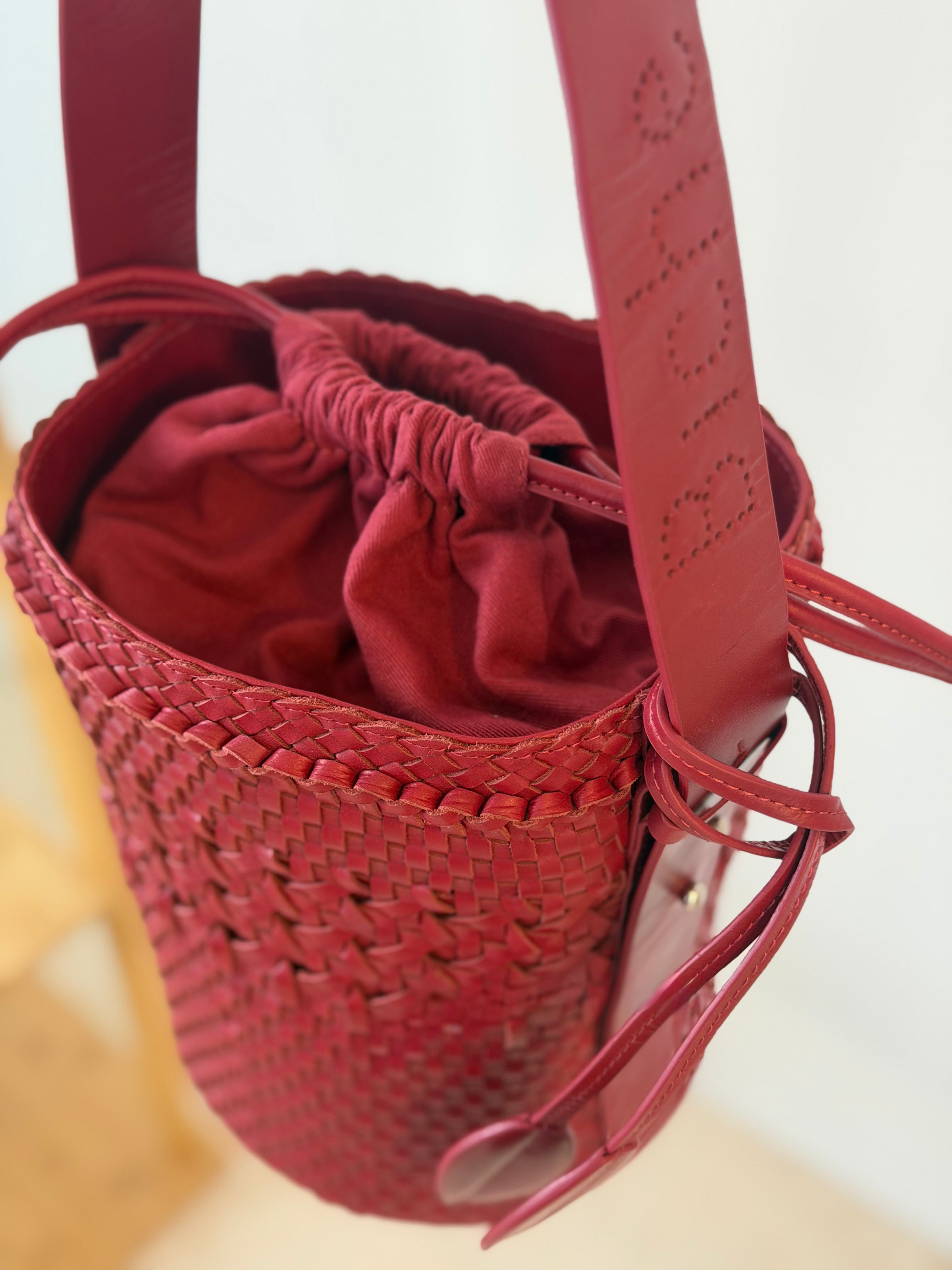 Bichon Dentelle Rouge