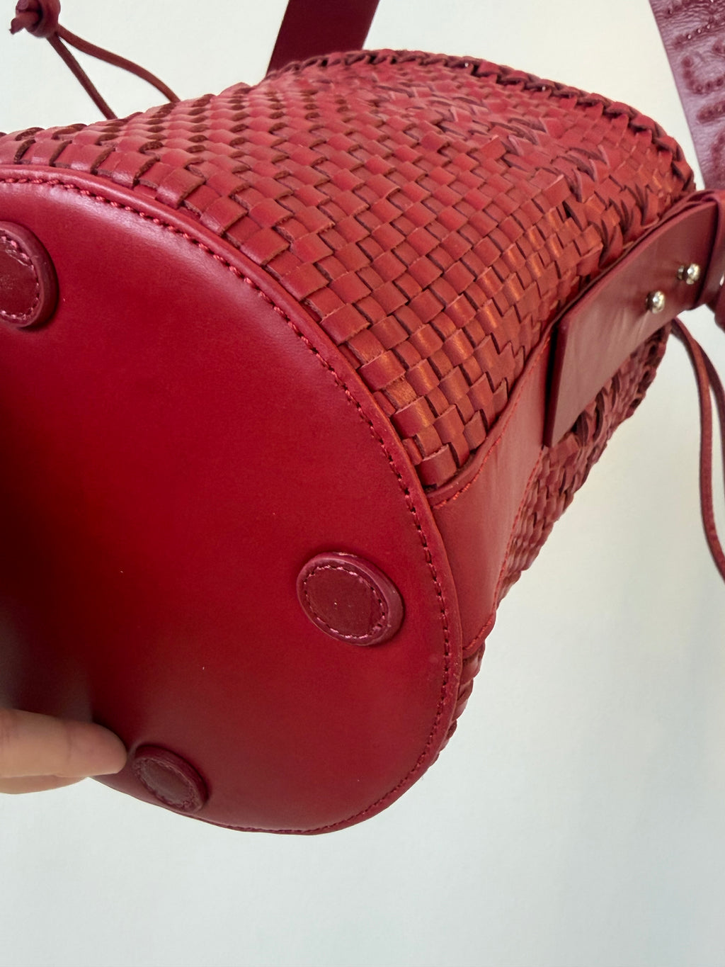 Bichon Dentelle Rouge