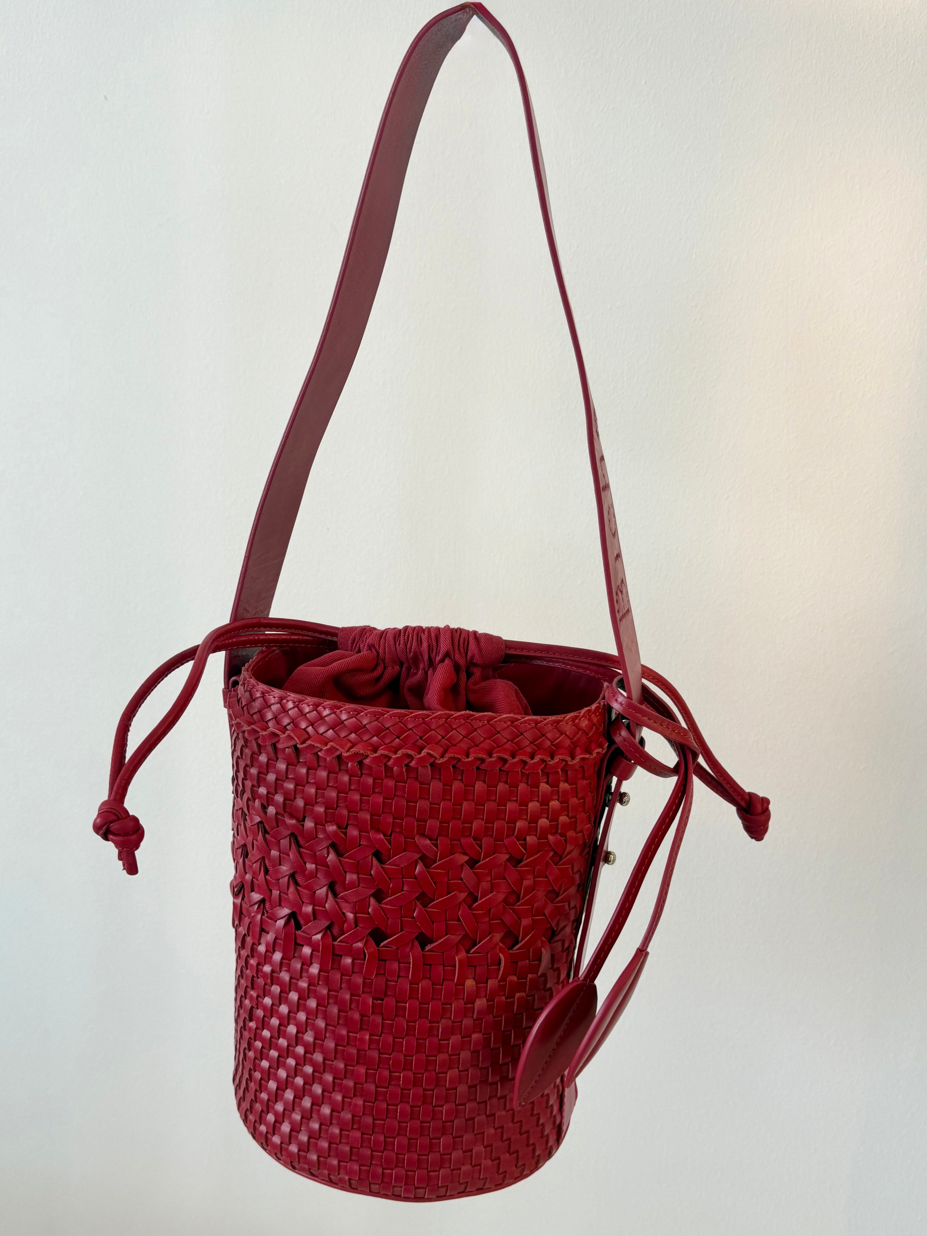 Bichon Dentelle Rouge