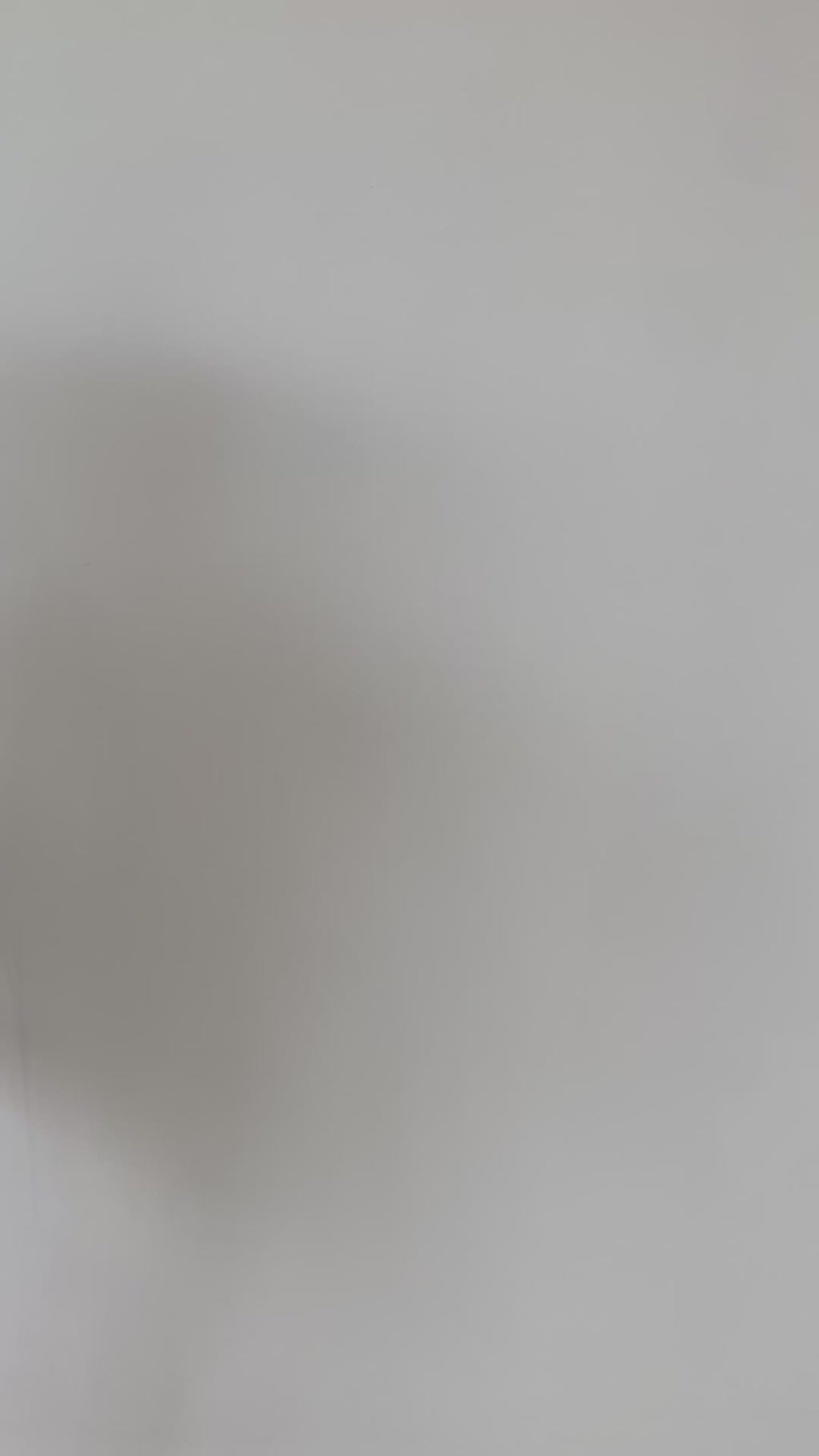 Bibiche 皮革和帆布